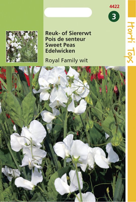 Sweet Pea Royal Family White (Lathyrus) 45 seeds